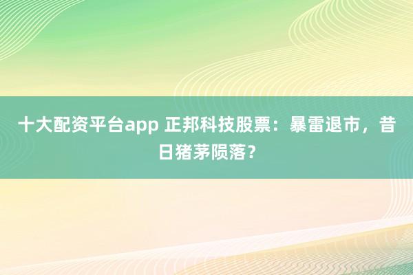 十大配资平台app 正邦科技股票：暴雷退市，昔日猪茅陨落？