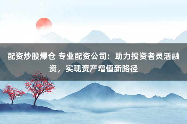 配资炒股爆仓 专业配资公司：助力投资者灵活融资，实现资产增值新路径