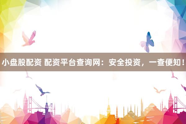 小盘股配资 配资平台查询网：安全投资，一查便知！