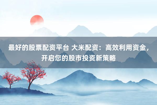 最好的股票配资平台 大米配资：高效利用资金，开启您的股市投资新策略