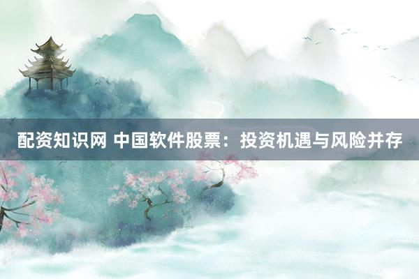配资知识网 中国软件股票：投资机遇与风险并存