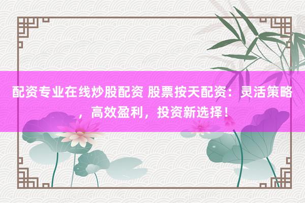 配资专业在线炒股配资 股票按天配资：灵活策略，高效盈利，投资新选择！