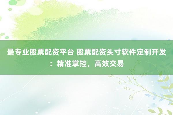 最专业股票配资平台 股票配资头寸软件定制开发:精准掌控,高效交易