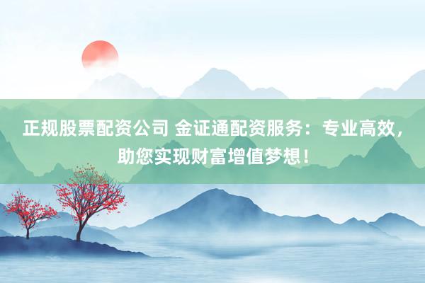 正规股票配资公司 金证通配资服务：专业高效，助您实现财富增值梦想！