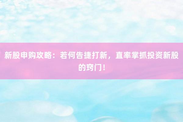 新股申购攻略:若何告捷打新,直率掌抓投资新股的窍门!