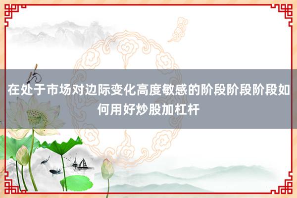 在处于市场对边际变化高度敏感的阶段阶段阶段如何用好炒股加杠杆