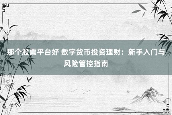 那个股票平台好 数字货币投资理财：新手入门与风险管控指南
