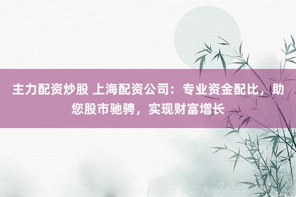主力配资炒股 上海配资公司：专业资金配比，助您股市驰骋，实现财富增长