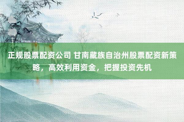 正规股票配资公司 甘南藏族自治州股票配资新策略，高效利用资金，把握投资先机