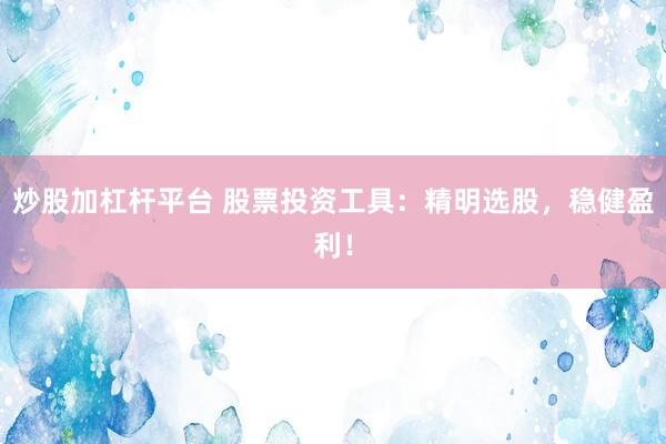 炒股加杠杆平台 股票投资工具：精明选股，稳健盈利！