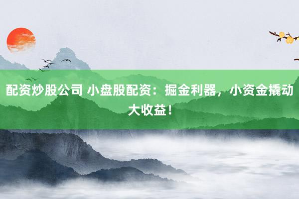 配资炒股公司 小盘股配资:掘金利器,小资金撬动大收益!